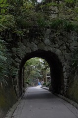 文学館の道