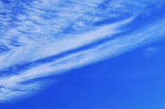 風が強かった一日