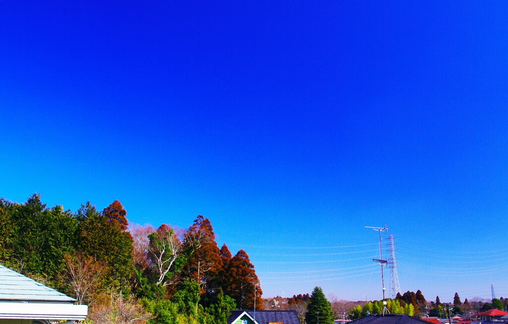 雲一つない青空！