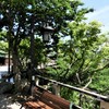 木陰のベンチ