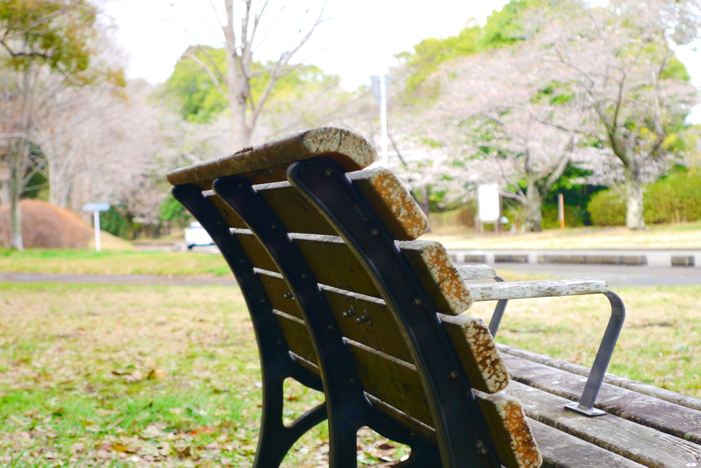 朽ちる