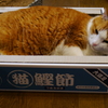 新しい爪とぎ