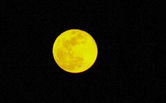 目玉焼きの黄身‼