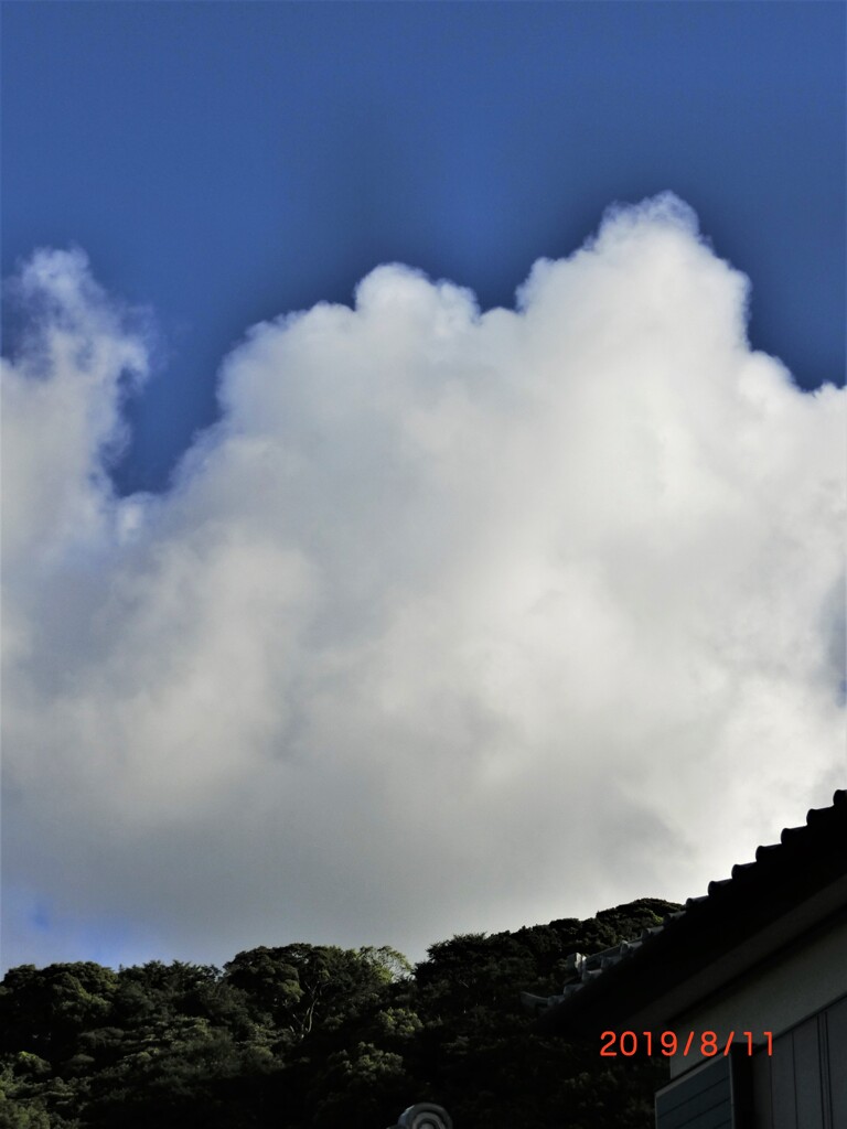 夏雲2019