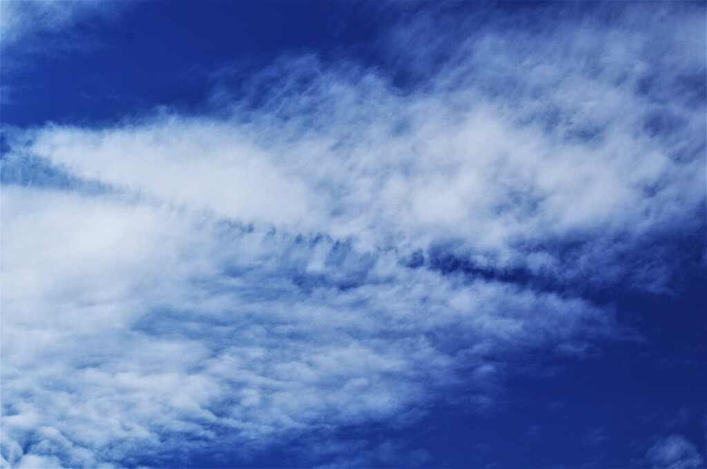 飛行機…雲を…切る