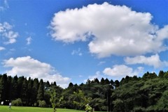 草原を渡る風2
