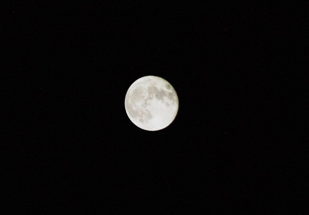 16夜の月
