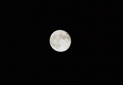 16夜の月