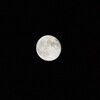 16夜の月