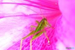 初夏の一休み