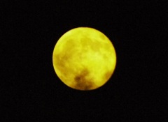 雲間よりのぞく
