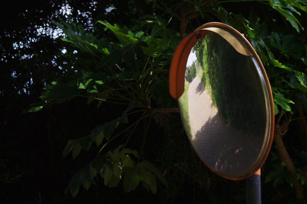 夏を待つ4　田舎道