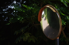 夏を待つ4　田舎道