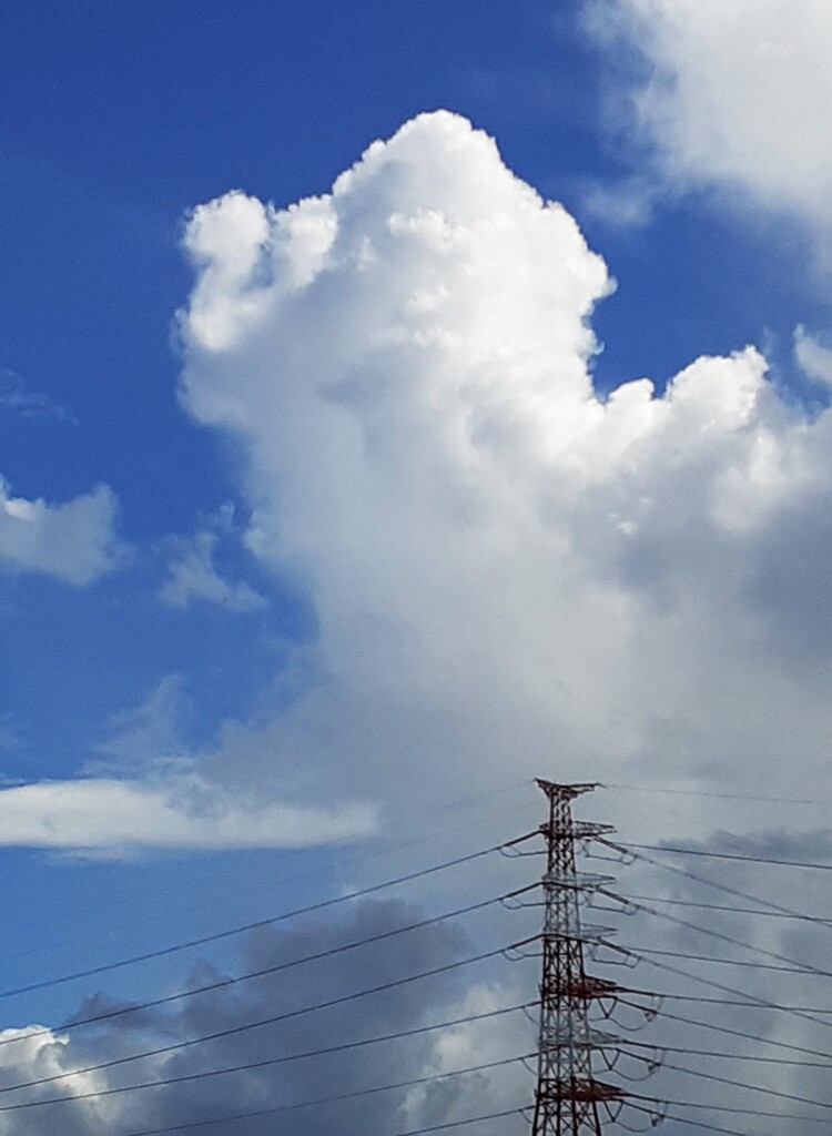 雲百態㊳…10月なのに