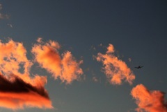 茜色のフライト