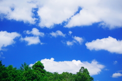 夏らしい雲