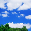 夏らしい雲