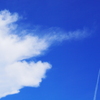 夏空を切り裂く