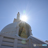 NZ7_2642