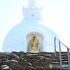 NZ7_2634