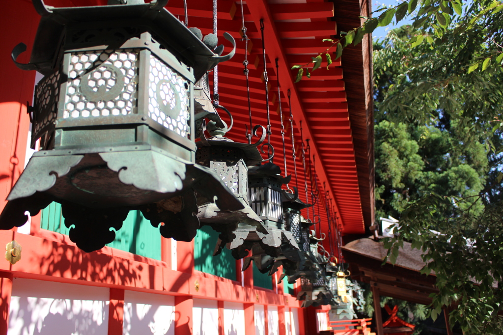 春日大社の燈籠