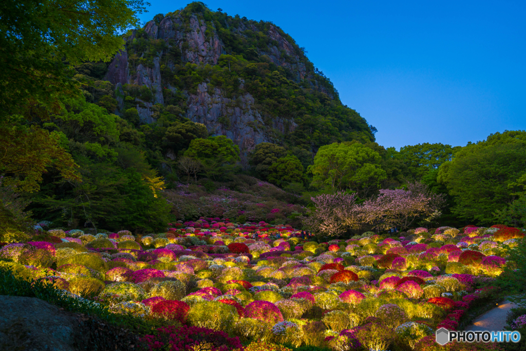 御船山楽園　つつじライトアップ