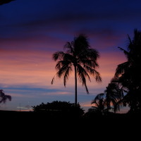 南国の夕暮れ