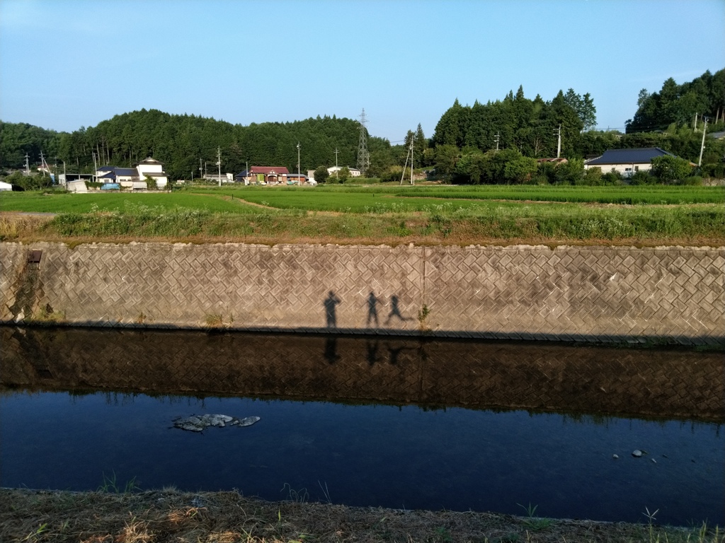 夕暮れのさんぽ