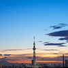 Sunset in Tokyo 2024秋