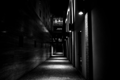 ⭐︎⭐︎⭐︎⭐︎