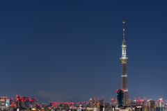 Midnight TOKYO