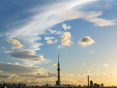 「夏」から「秋」へ