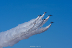 X'mas tree 〜 again