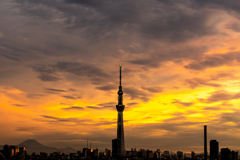 Sunset in TOKYO 2022夏