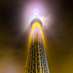 雨の日は空を見上げよう♪