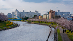 東京SAKURAロード04 〜 至福のひととき
