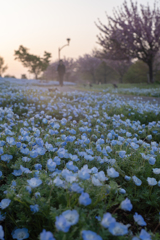 花道