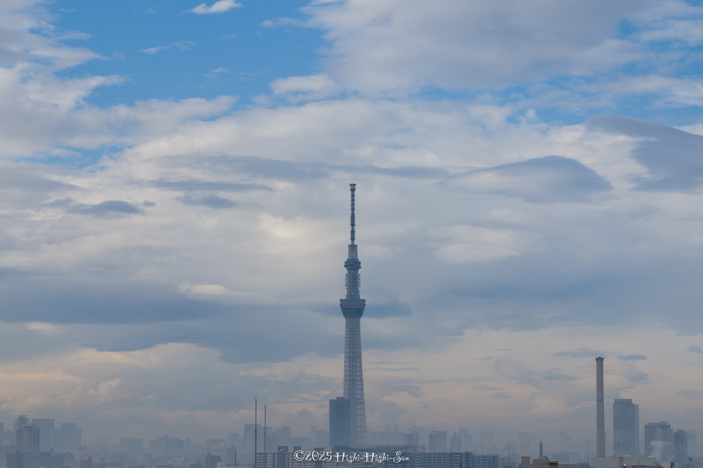 冬霧に包まれて