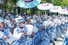 原宿表参道元氣祭 14th