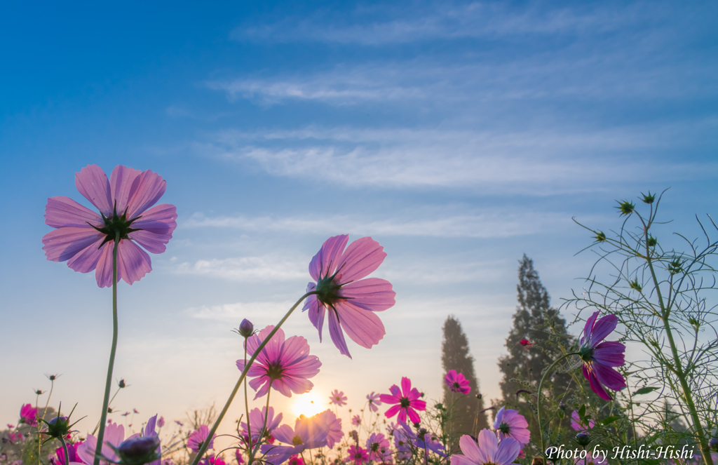 Good morning！