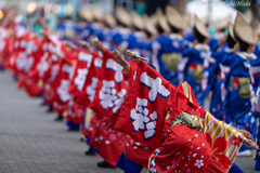 原宿表参道元氣祭 21th