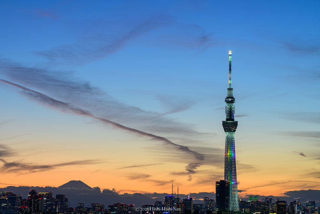 Sunset in Tokyo 2023秋