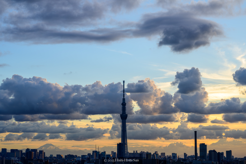 Sunset in Tokyo 2023夏