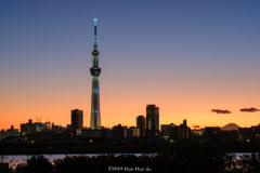 Sunset in TOKYO 〜 2024師走へ