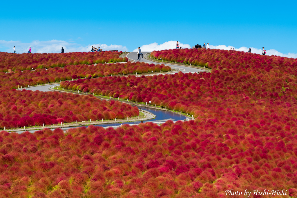 winding road