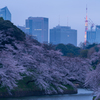 春はあけぼの . . .