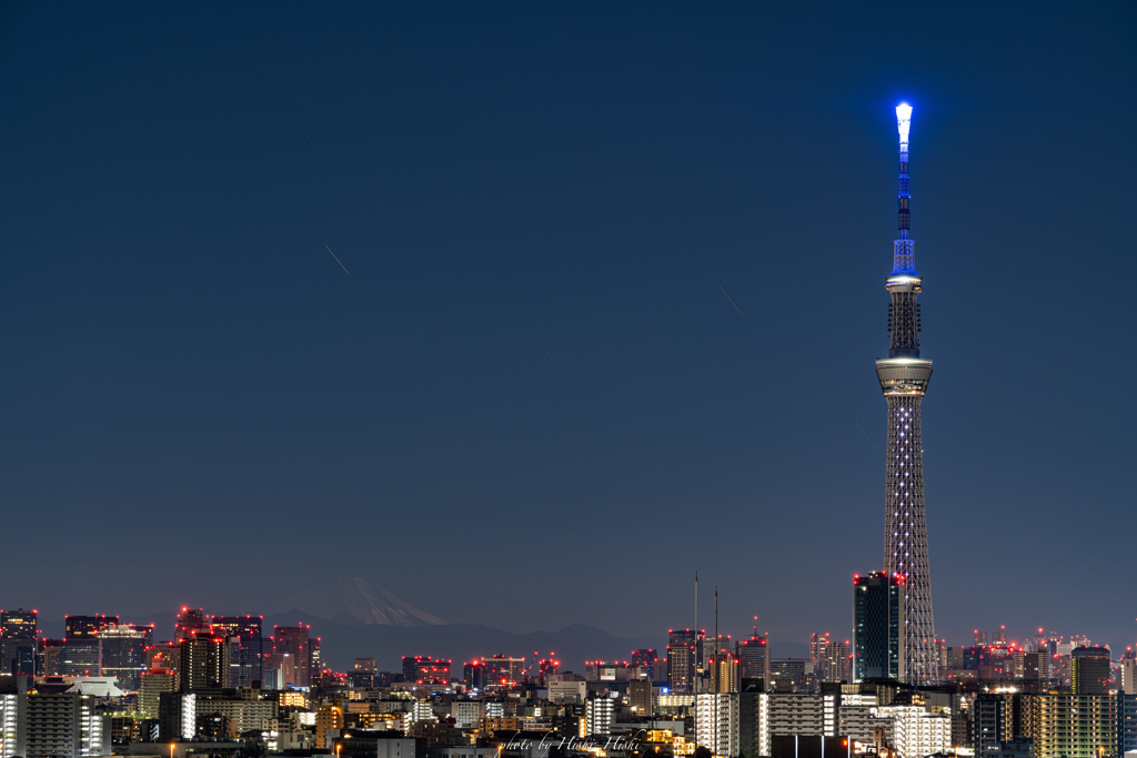good night TOKYO