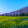春はあけぼの