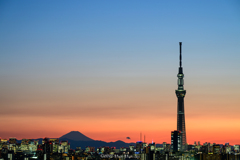 Sunset in TOKYO 〜 2025春