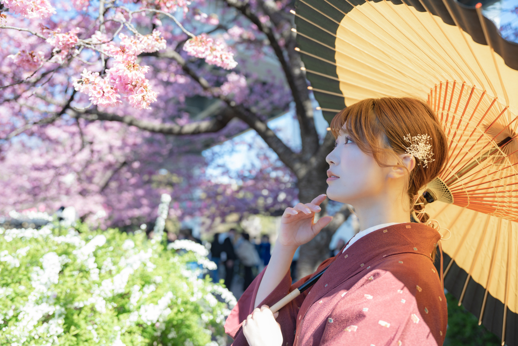 Haru no Iro